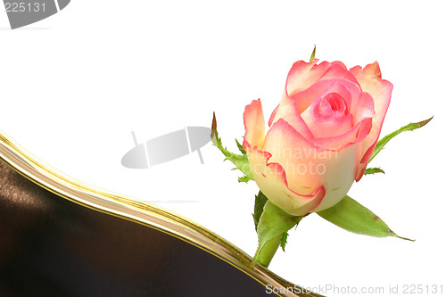 Image of rose and chocolates