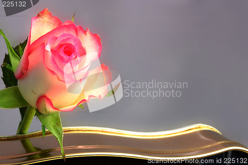 Image of rose and chocolates