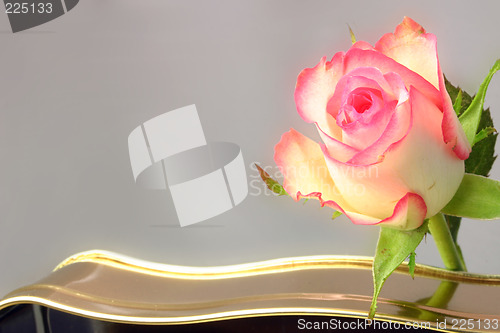 Image of rose and chocolates