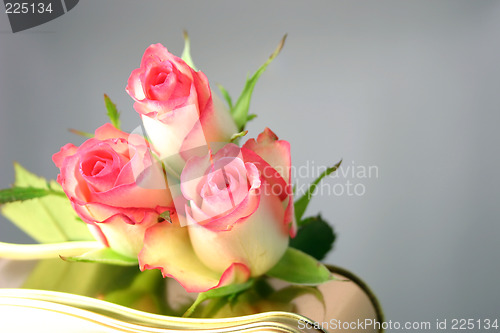 Image of roses and chocolates