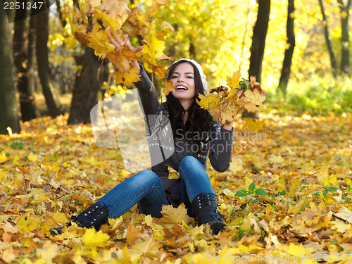 Image of Beauty during autumn