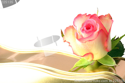 Image of rose and chocolates