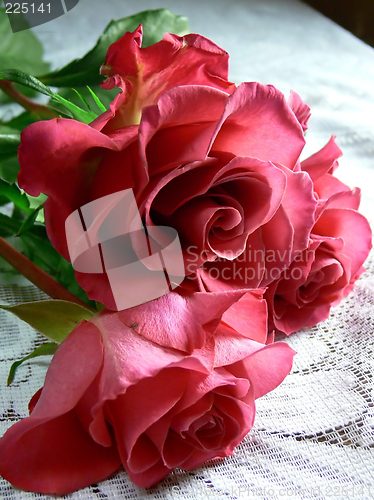 Image of Red roses