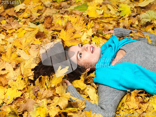 Image of Beauty during autumn