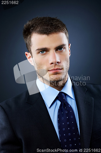 Image of Portrait of Businessman