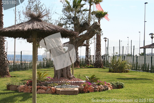 Image of Lovely park next to the Mediterranean