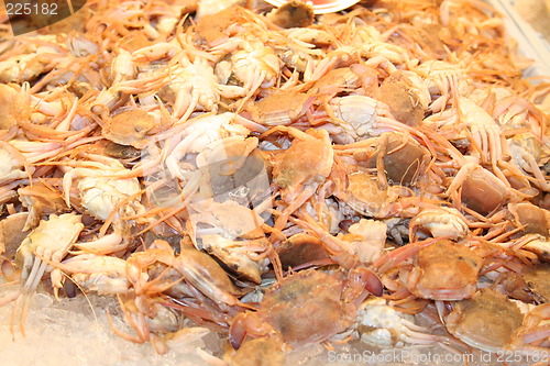 Image of Small crabs in Market-hall,Spain