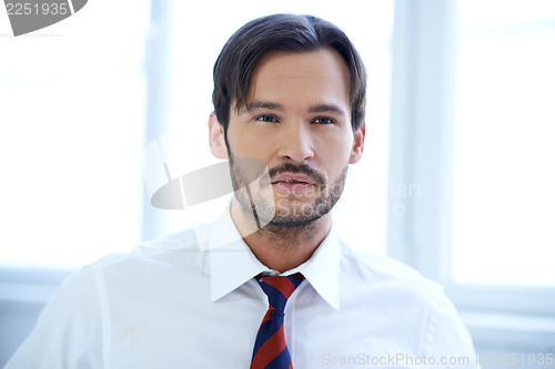 Image of Portrait of a Caucasian young businessman