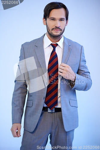 Image of Handsome businessman in a grey suit