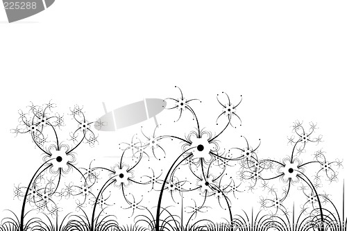 Image of flower pattern