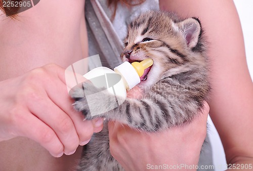 Image of child feeding small kitten from the bottle