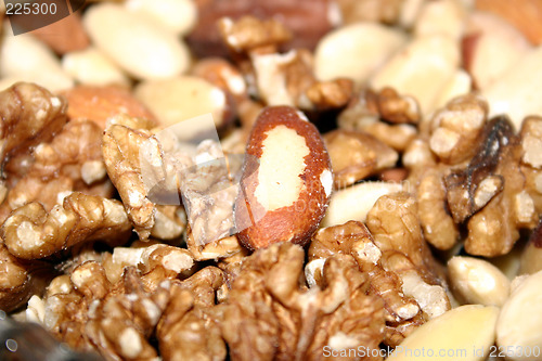 Image of assorted fresh nuts