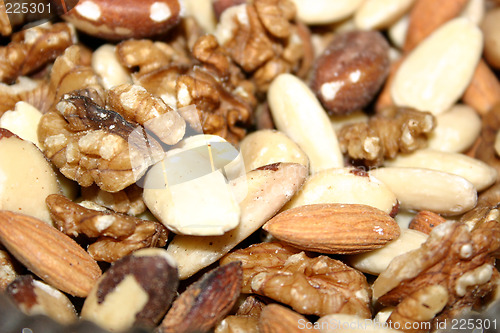 Image of assorted fresh nuts