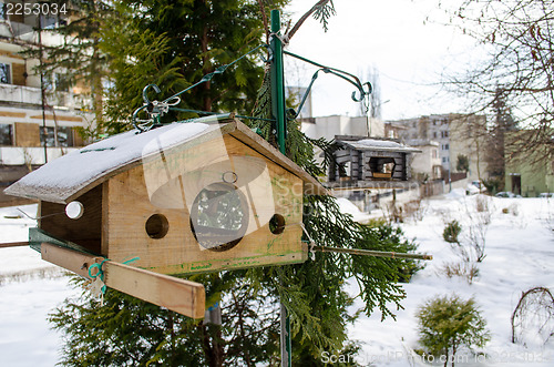 Image of bird feeder hanging on branch in city park 