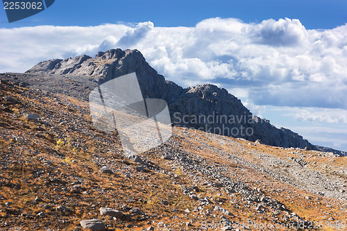 Image of Mountain plateau in the autumn. Khibiny mountains. Russia