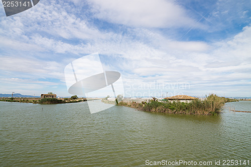 Image of Albufera scenery