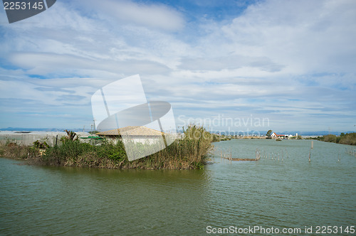 Image of Albufera scenery