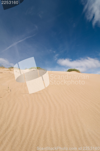 Image of Dune abstract