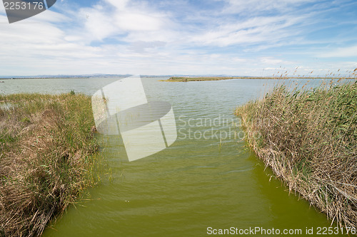 Image of La Albufera, Valencia