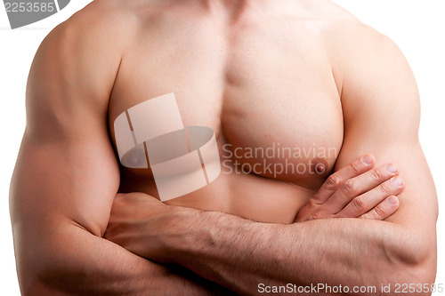 Image of Male Torso