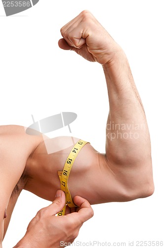 Image of Measuring His Bicep