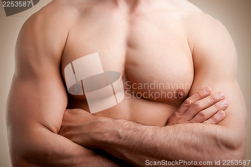 Image of Male Torso