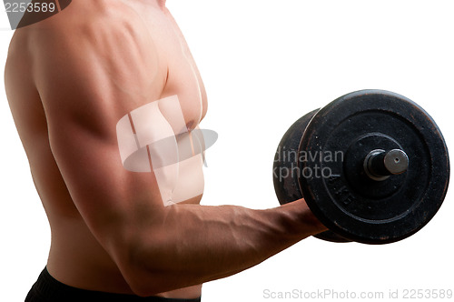 Image of Standing Bicep Dumbbell Curl