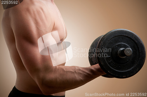 Image of Standing Bicep Dumbbell Curl