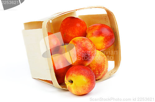 Image of Nectarines