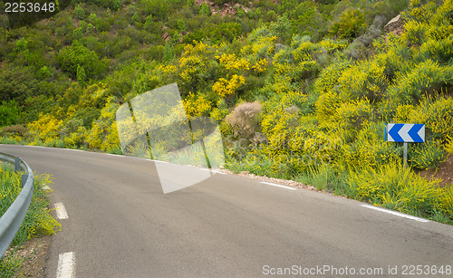 Image of Road in spring