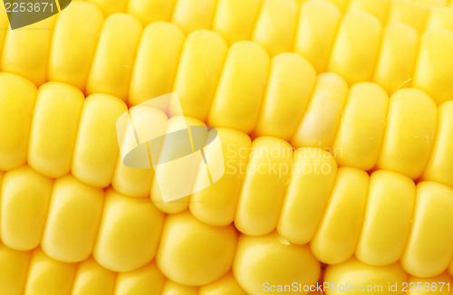 Image of corn close up