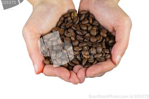 Image of Hans with coffee beans