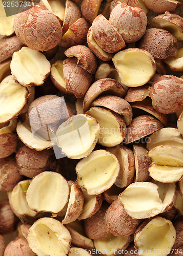 Image of Fox nuts, traditional chinese medicine