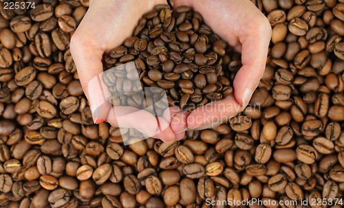 Image of Coffee hands