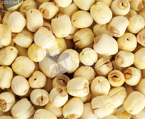 Image of Dry lotus seed