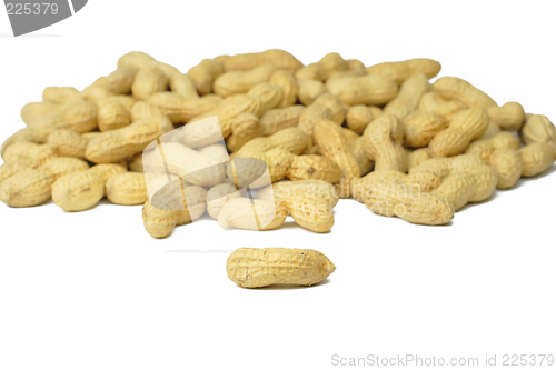 Image of Peanuts