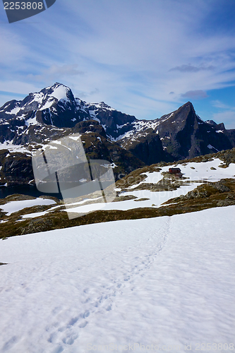 Image of In the norwegian mountains