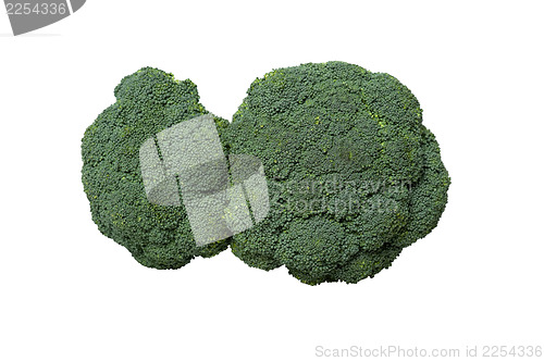 Image of Broccoli vegetable isolated on white