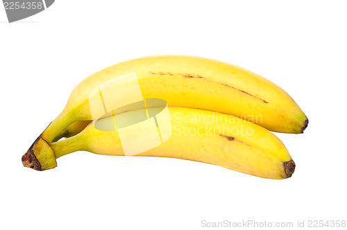 Image of Two bananas isolated on white background