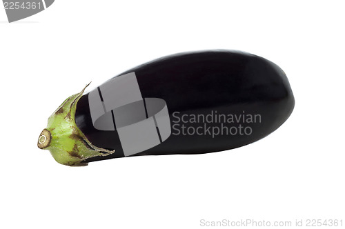 Image of Eggplant or Aubergine vegetable