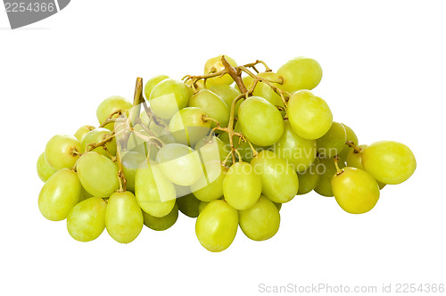 Image of Fresh freen grape fruits