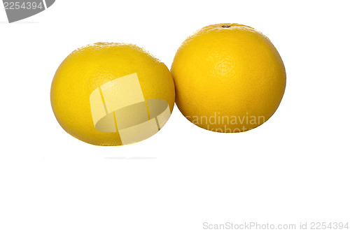 Image of Fresh grapefruit