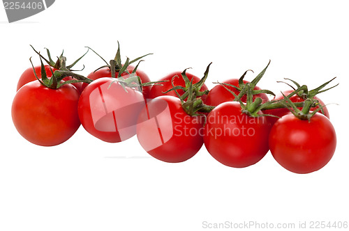 Image of Cherry tomatoes arranged in a row