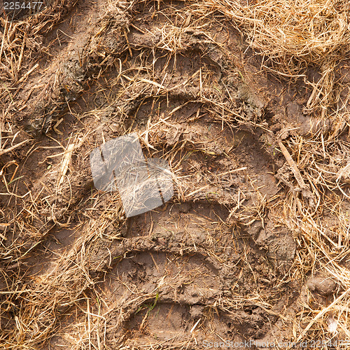 Image of Close-up of a single tire track