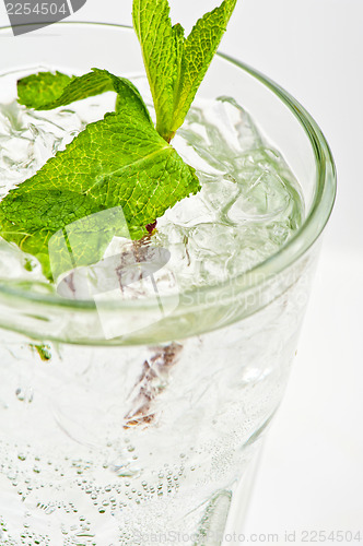 Image of Fresh mojito