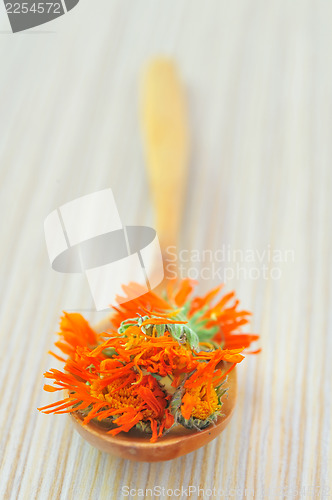 Image of marigold herbal tea