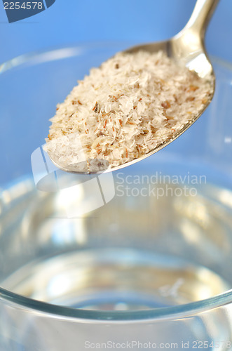 Image of psyllium seed