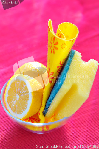 Image of Natural Cleaning with Sponges