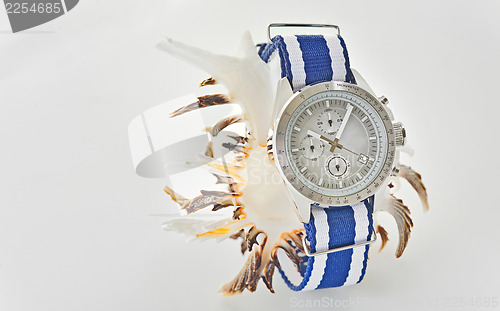 Image of watch and shell