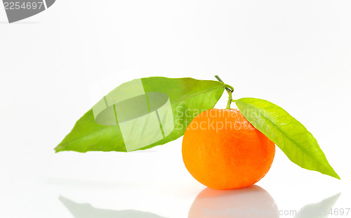 Image of mandarin with leaf